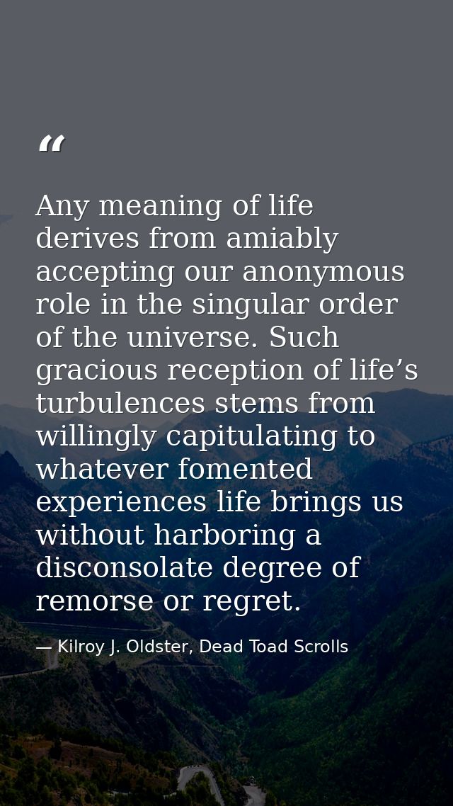 Any meaning of life derives from amiably accepting our anonymous role in the singular order of the universe. Such gracio — Kilroy J. Oldster, Dead Toad Scrolls