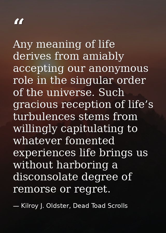Any meaning of life derives from amiably accepting our anonymous role in the singular order of the universe. Such gracio — Kilroy J. Oldster, Dead Toad Scrolls