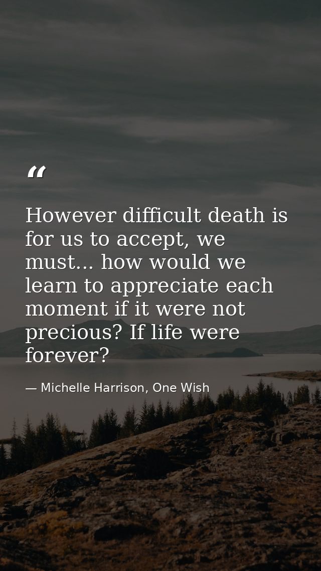 However difficult death is for us to accept, we must... how would we learn to appreciate each moment if it were not prec — Michelle Harrison, One Wish