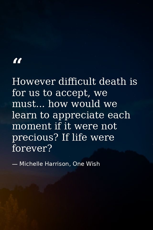 However difficult death is for us to accept, we must... how would we learn to appreciate each moment if it were not prec — Michelle Harrison, One Wish