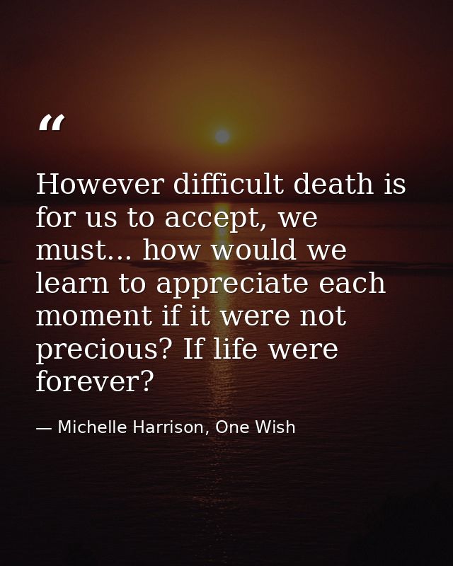 However difficult death is for us to accept, we must... how would we learn to appreciate each moment if it were not prec — Michelle Harrison, One Wish