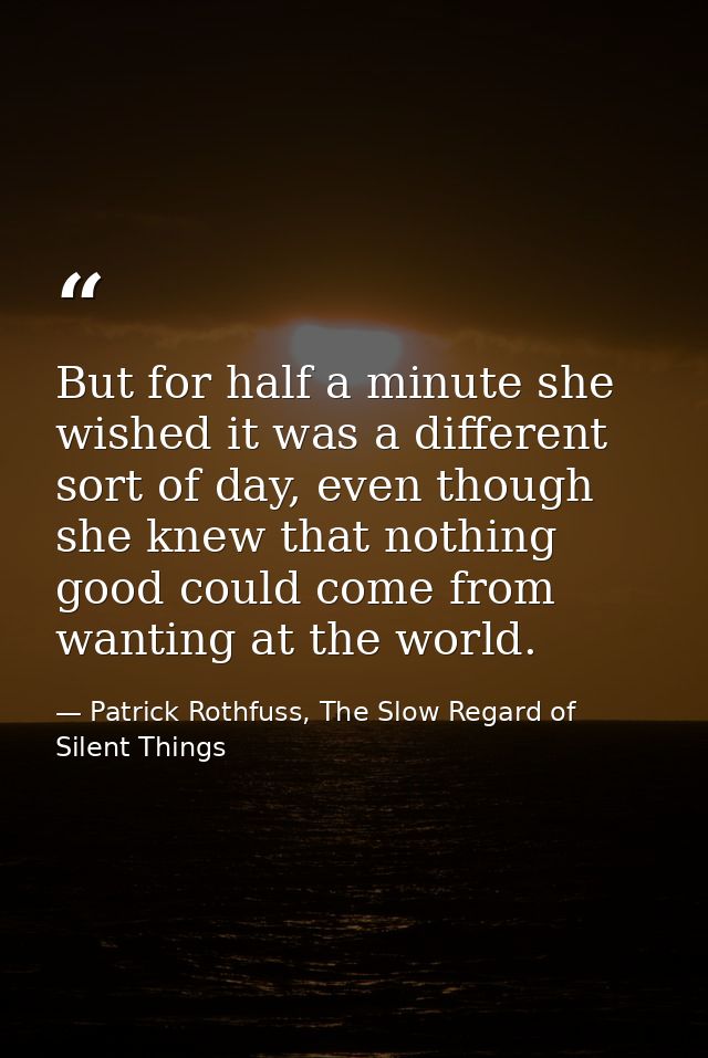 But for half a minute she wished it was a different sort of day, even though she knew that nothing good could come from  — Patrick Rothfuss, The Slow Regard of Silent Things