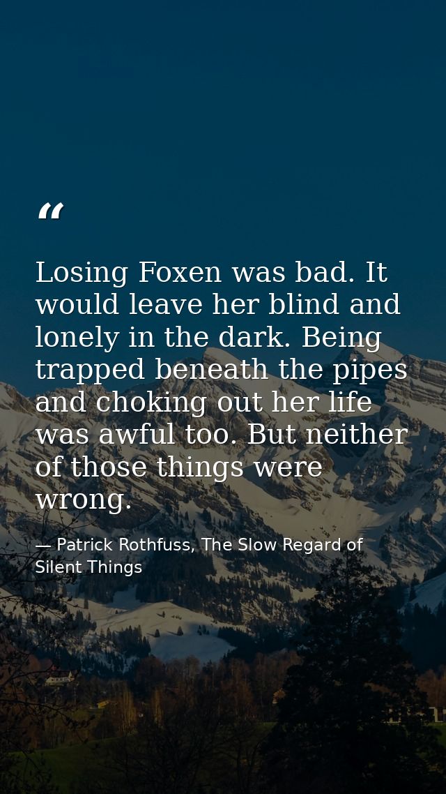 Losing Foxen was bad. It would leave her blind and lonely in the dark. Being trapped beneath the pipes and choking out h — Patrick Rothfuss, The Slow Regard of Silent Things