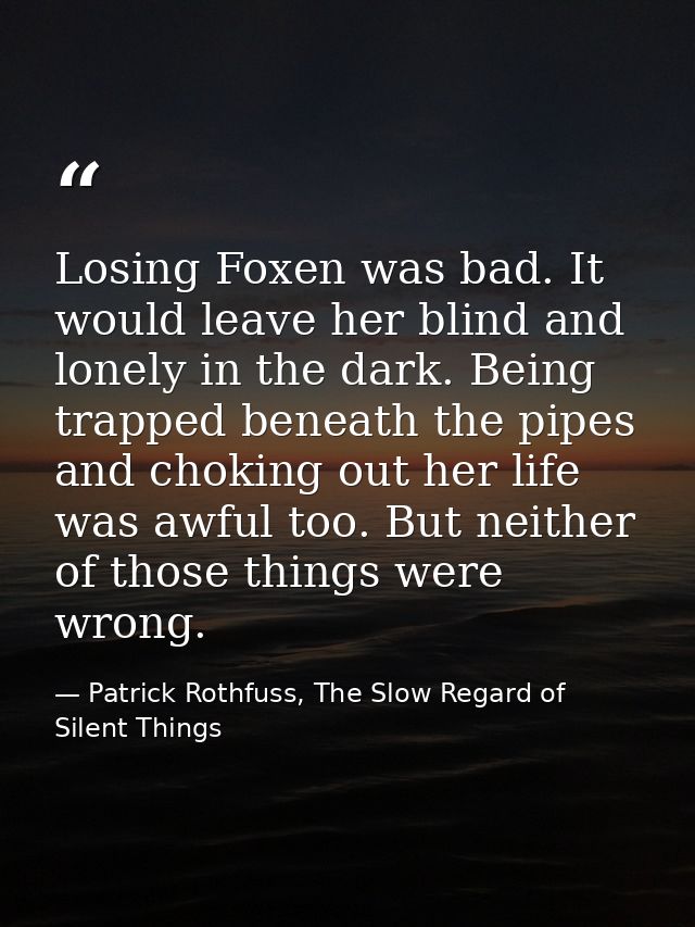 Losing Foxen was bad. It would leave her blind and lonely in the dark. Being trapped beneath the pipes and choking out h — Patrick Rothfuss, The Slow Regard of Silent Things