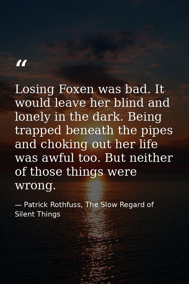 Losing Foxen was bad. It would leave her blind and lonely in the dark. Being trapped beneath the pipes and choking out h — Patrick Rothfuss, The Slow Regard of Silent Things