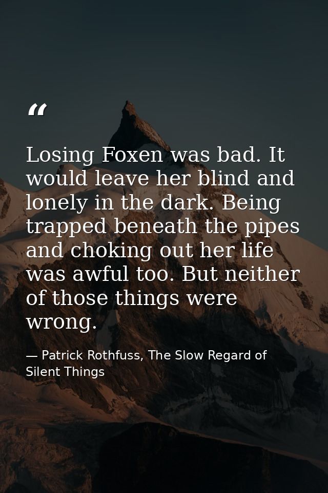 Losing Foxen was bad. It would leave her blind and lonely in the dark. Being trapped beneath the pipes and choking out h — Patrick Rothfuss, The Slow Regard of Silent Things