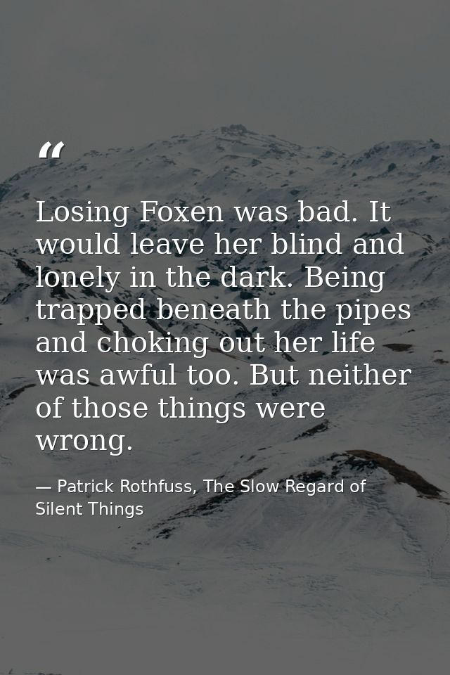 Losing Foxen was bad. It would leave her blind and lonely in the dark. Being trapped beneath the pipes and choking out h — Patrick Rothfuss, The Slow Regard of Silent Things