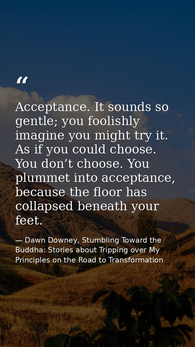 Acceptance. It sounds so gentle; you foolishly imagine you might try it. As if you could choose. You don’t choose. You p — Dawn Downey, Stumbling Toward the Buddha: Stories about Tripping over My Principles on the Road to Transformation