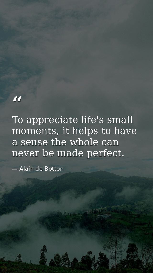 To appreciate life's small moments, it helps to have a sense the whole can never be made perfect. — Alain de Botton