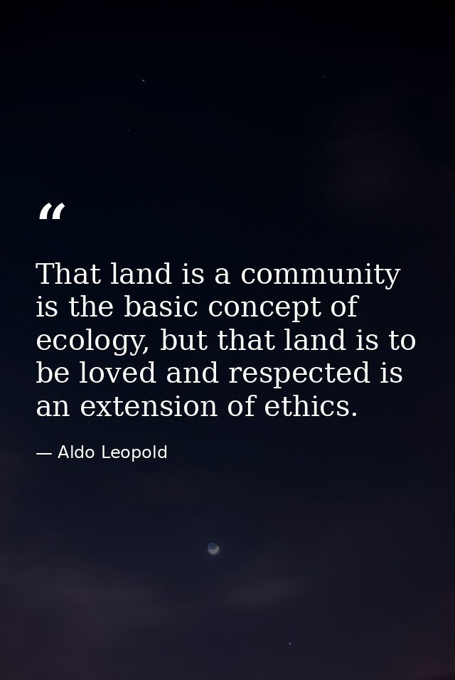 That land is a community is the basic concept of ecology, but that land is to be loved and respected is an extension of  — Aldo Leopold
