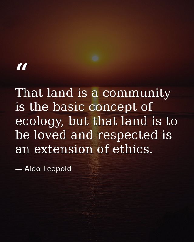 That land is a community is the basic concept of ecology, but that land is to be loved and respected is an extension of  — Aldo Leopold