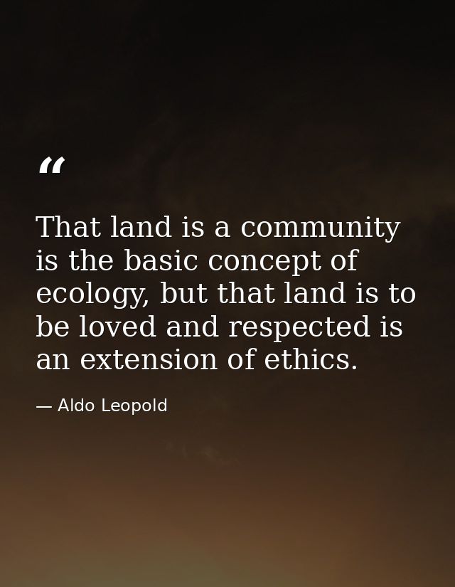 That land is a community is the basic concept of ecology, but that land is to be loved and respected is an extension of  — Aldo Leopold