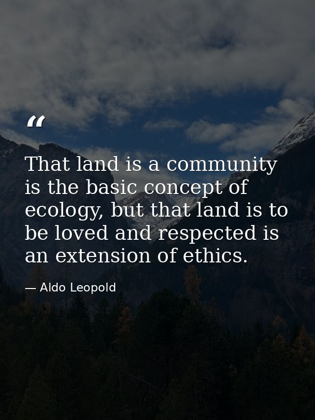 That land is a community is the basic concept of ecology, but that land is to be loved and respected is an extension of  — Aldo Leopold