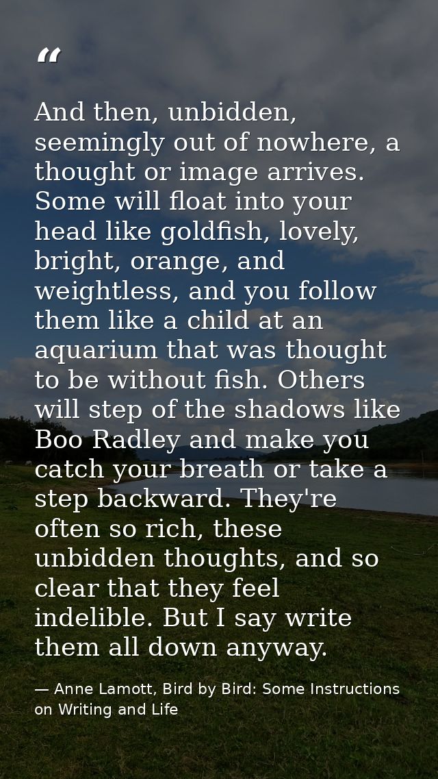 And then, unbidden, seemingly out of nowhere, a thought or image arrives. Some will float into your head like goldfish,  — Anne Lamott, Bird by Bird: Some Instructions on Writing and Life