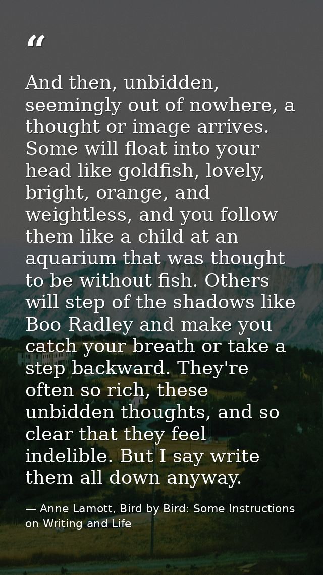 And then, unbidden, seemingly out of nowhere, a thought or image arrives. Some will float into your head like goldfish,  — Anne Lamott, Bird by Bird: Some Instructions on Writing and Life