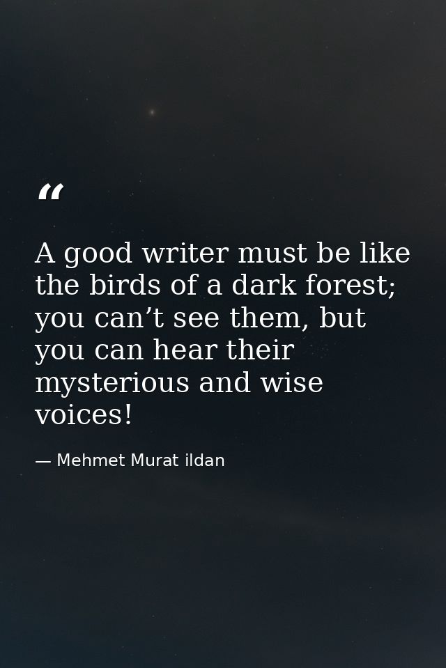 A good writer must be like the birds of a dark forest; you can’t see them, but you can hear their mysterious and wise vo — Mehmet Murat ildan