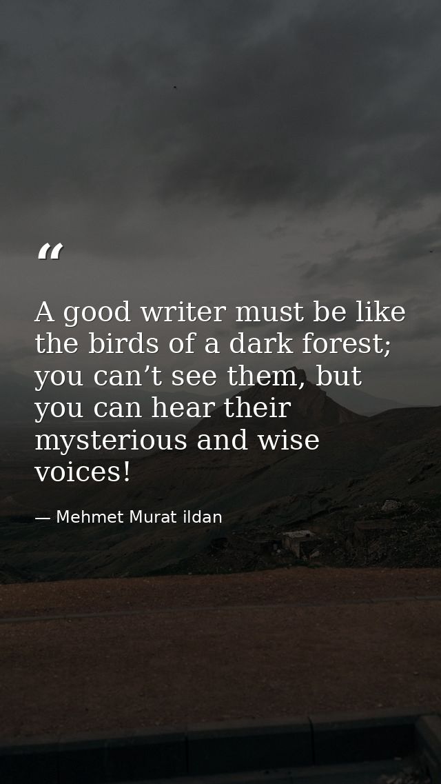 A good writer must be like the birds of a dark forest; you can’t see them, but you can hear their mysterious and wise vo — Mehmet Murat ildan