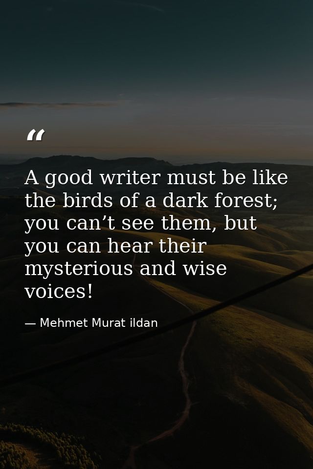 A good writer must be like the birds of a dark forest; you can’t see them, but you can hear their mysterious and wise vo — Mehmet Murat ildan