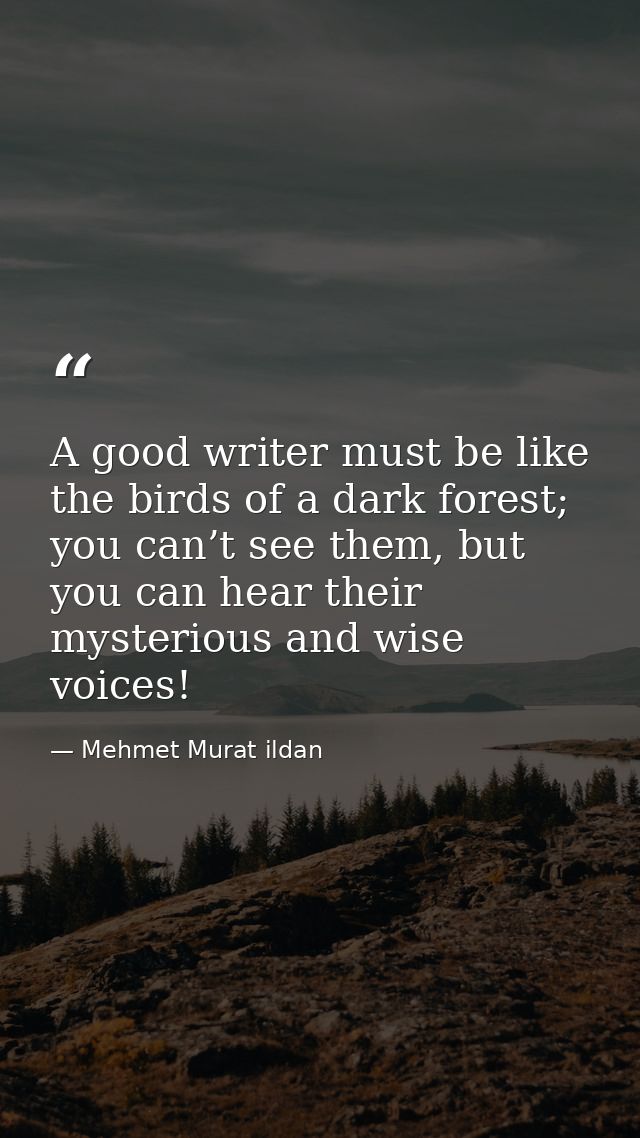 A good writer must be like the birds of a dark forest; you can’t see them, but you can hear their mysterious and wise vo — Mehmet Murat ildan