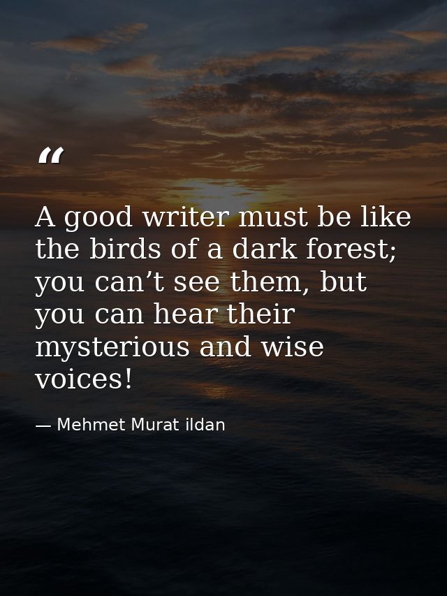 A good writer must be like the birds of a dark forest; you can’t see them, but you can hear their mysterious and wise vo — Mehmet Murat ildan