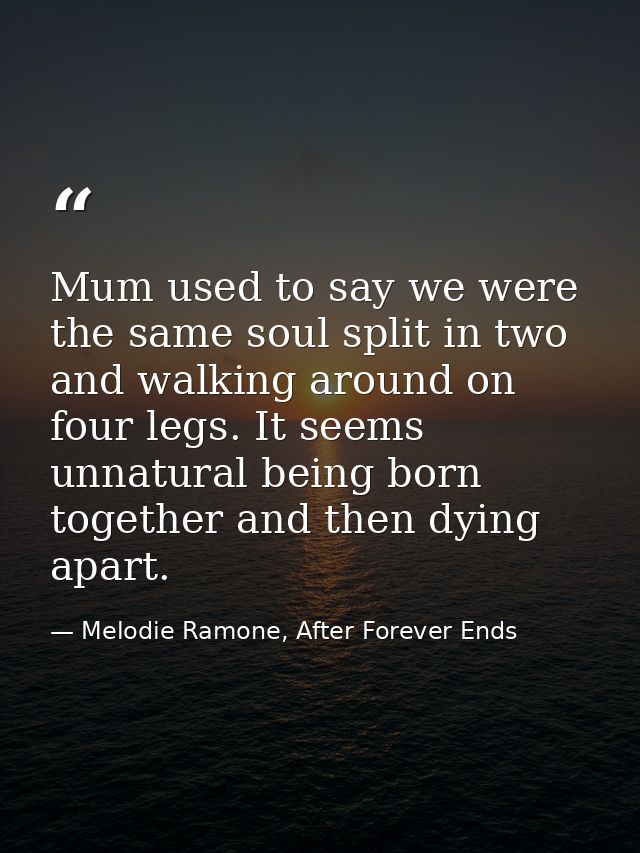 Mum used to say we were the same soul split in two and walking around on four legs. It seems unnatural being born togeth — Melodie Ramone, After Forever Ends