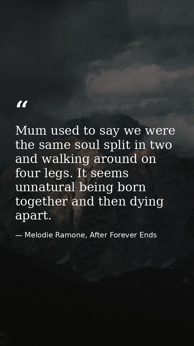 Mum used to say we were the same soul split in two and walking around on four legs. It seems unnatural being born togeth — Melodie Ramone, After Forever Ends