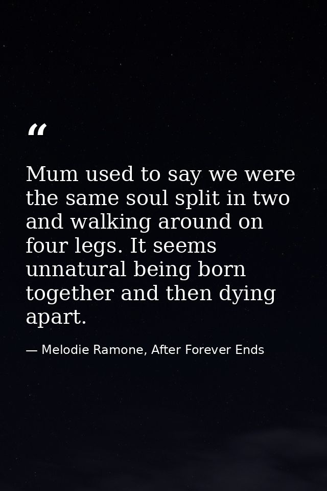 Mum used to say we were the same soul split in two and walking around on four legs. It seems unnatural being born togeth — Melodie Ramone, After Forever Ends