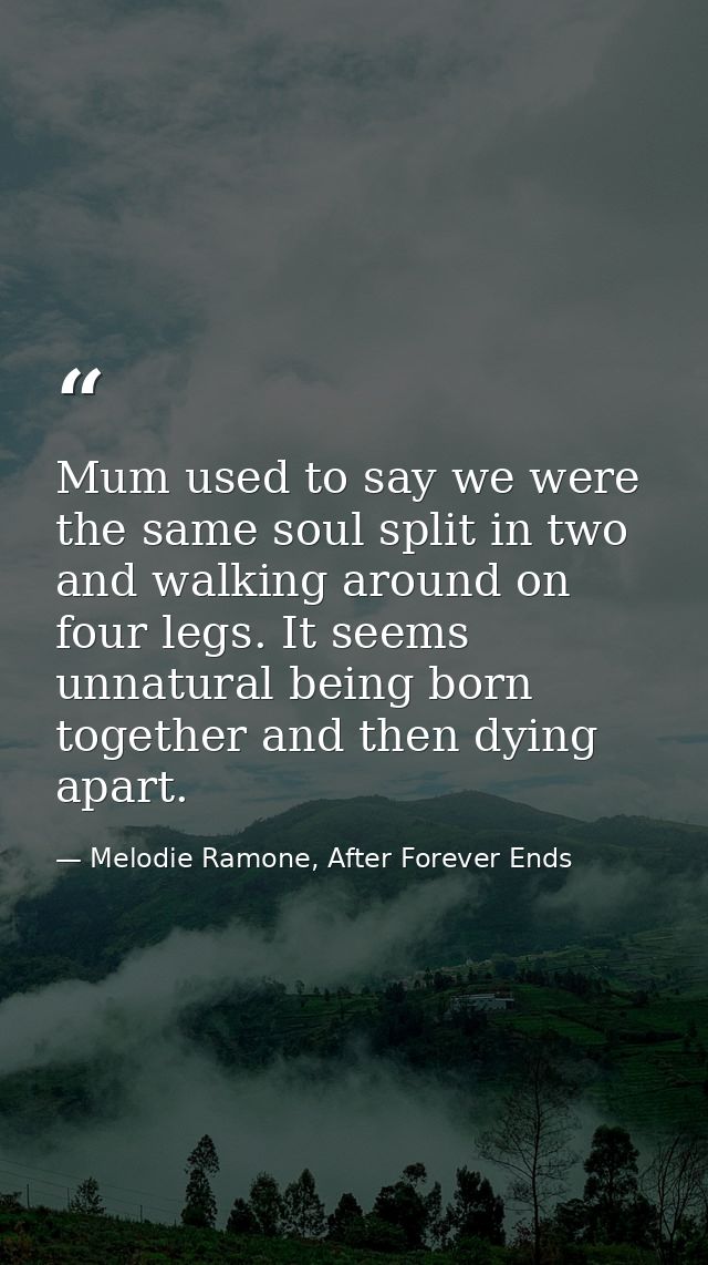 Mum used to say we were the same soul split in two and walking around on four legs. It seems unnatural being born togeth — Melodie Ramone, After Forever Ends