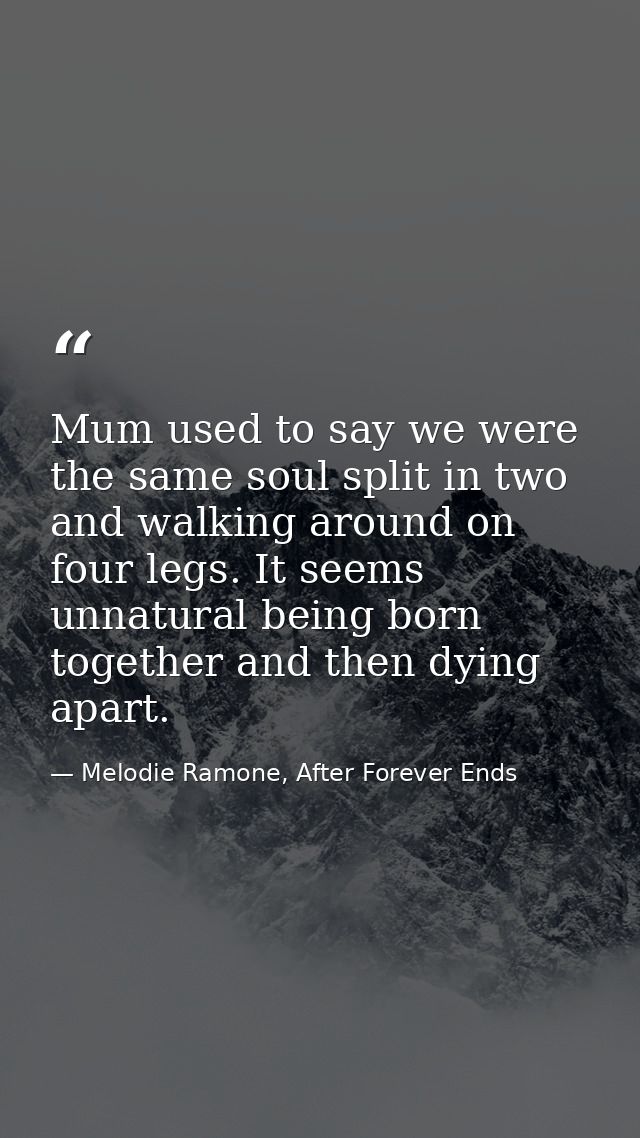 Mum used to say we were the same soul split in two and walking around on four legs. It seems unnatural being born togeth — Melodie Ramone, After Forever Ends
