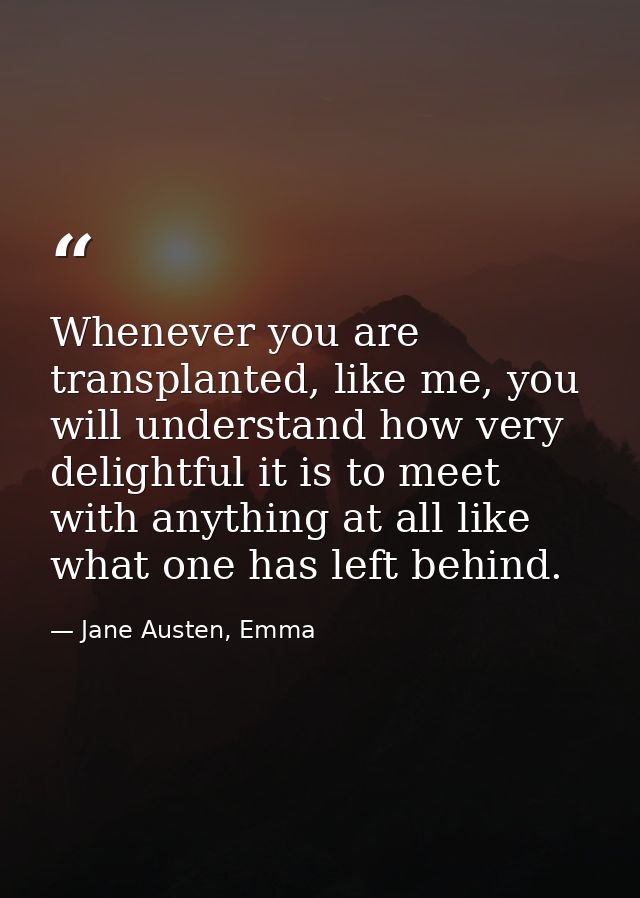 Whenever you are transplanted, like me, you will understand how very delightful it is to meet with anything at all like  — Jane Austen, Emma