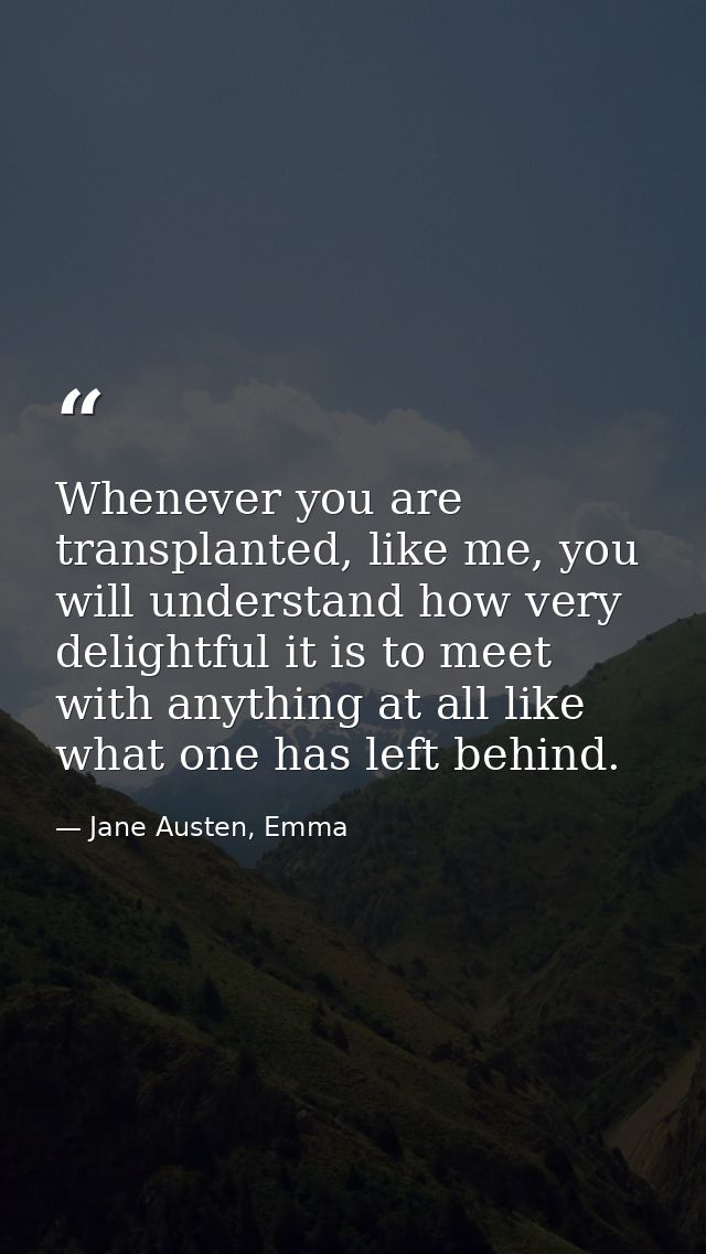 Whenever you are transplanted, like me, you will understand how very delightful it is to meet with anything at all like  — Jane Austen, Emma