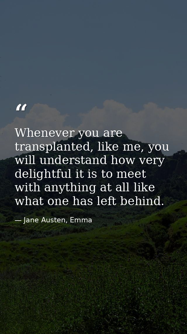 Whenever you are transplanted, like me, you will understand how very delightful it is to meet with anything at all like  — Jane Austen, Emma