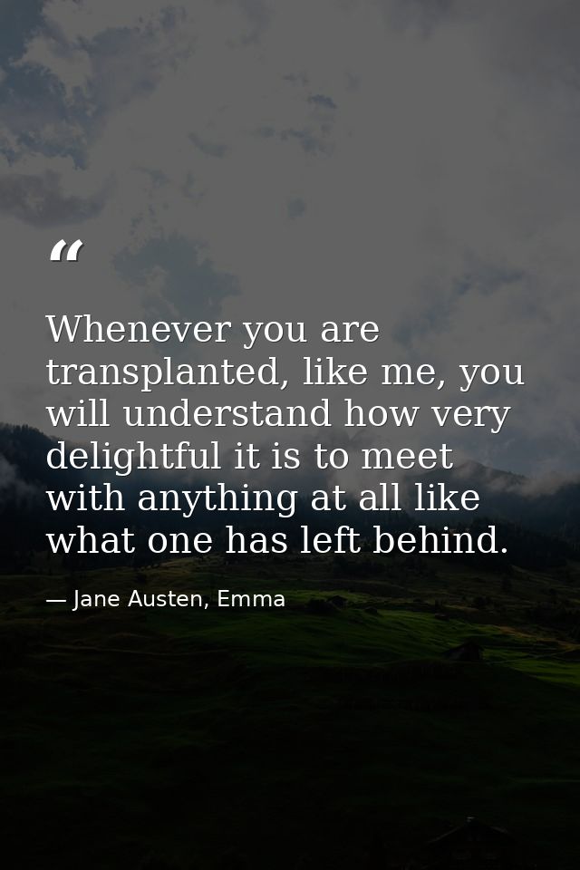 Whenever you are transplanted, like me, you will understand how very delightful it is to meet with anything at all like  — Jane Austen, Emma