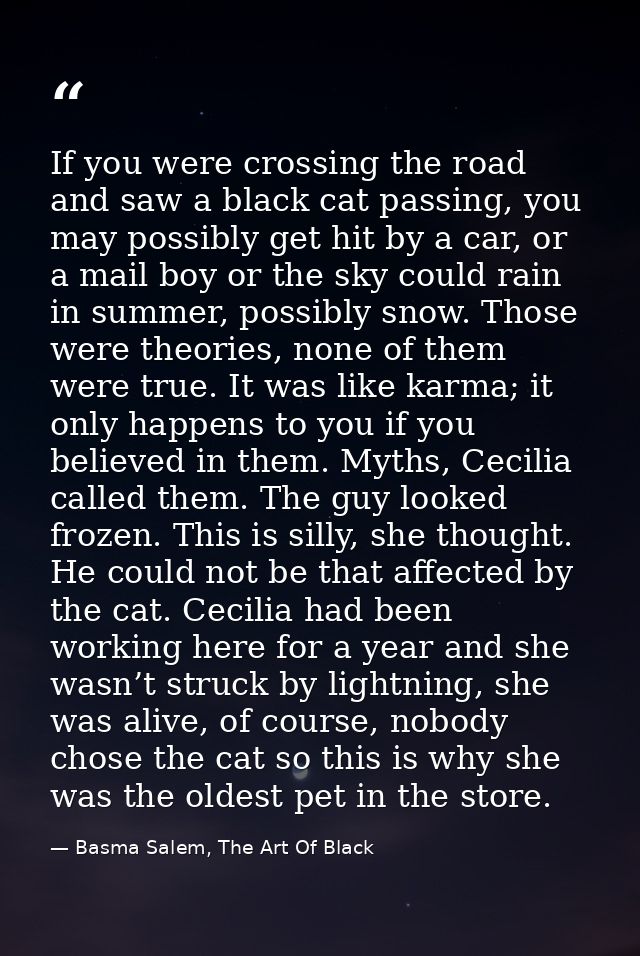If you were crossing the road and saw a black cat passing, you may possibly get hit by a car, or a mail boy or the sky c — Basma Salem, The Art Of Black