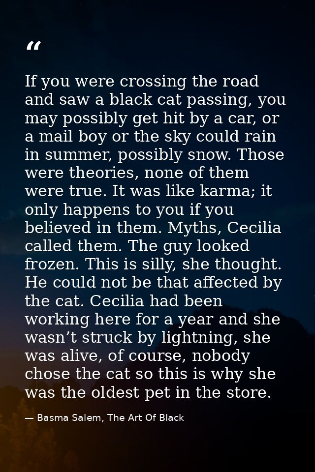 If you were crossing the road and saw a black cat passing, you may possibly get hit by a car, or a mail boy or the sky c — Basma Salem, The Art Of Black