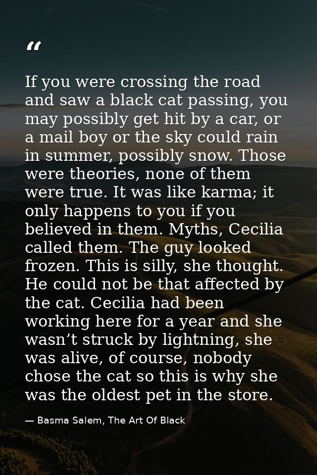If you were crossing the road and saw a black cat passing, you may possibly get hit by a car, or a mail boy or the sky c — Basma Salem, The Art Of Black