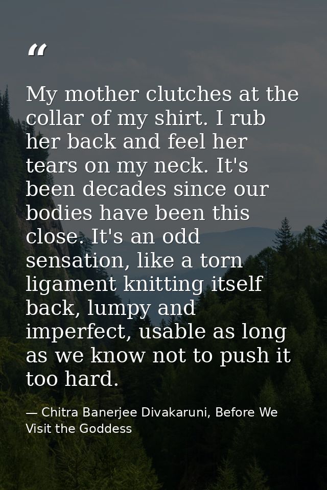 My mother clutches at the collar of my shirt. I rub her back and feel her tears on my neck. It's been decades since our  — Chitra Banerjee Divakaruni, Before We Visit the Goddess