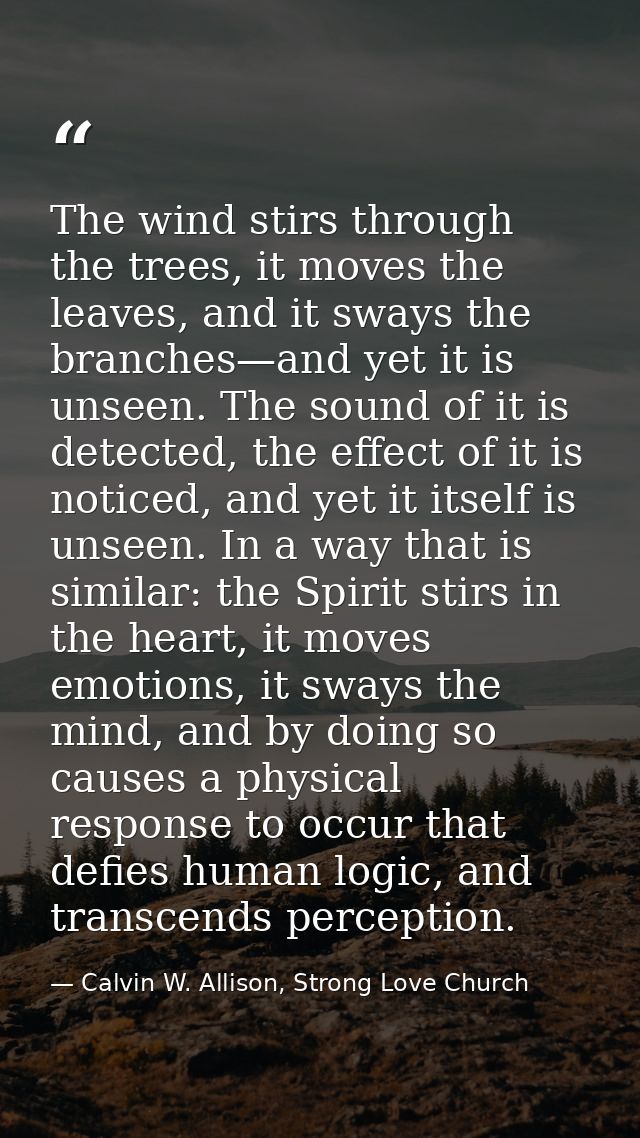 The wind stirs through the trees, it moves the leaves, and it sways the branches—and yet it is unseen. The sound of it i — Calvin W. Allison, Strong Love Church