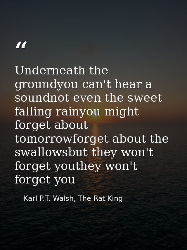 Underneath the groundyou can't hear a soundnot even the sweet falling rainyou might forget about tomorrowforget about th — Karl P.T. Walsh, The Rat King