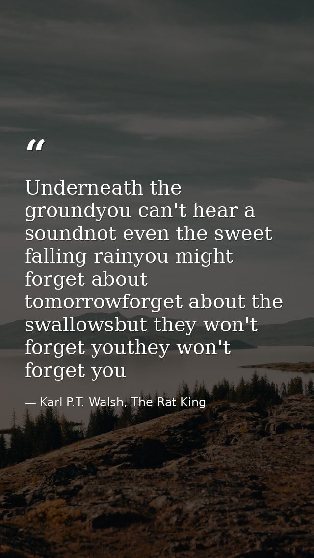 Underneath the groundyou can't hear a soundnot even the sweet falling rainyou might forget about tomorrowforget about th — Karl P.T. Walsh, The Rat King