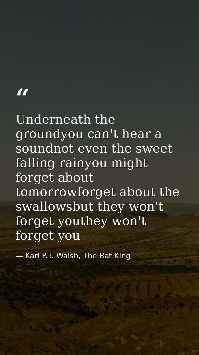 Underneath the groundyou can't hear a soundnot even the sweet falling rainyou might forget about tomorrowforget about th — Karl P.T. Walsh, The Rat King