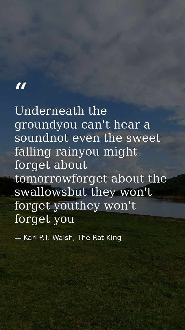 Underneath the groundyou can't hear a soundnot even the sweet falling rainyou might forget about tomorrowforget about th — Karl P.T. Walsh, The Rat King