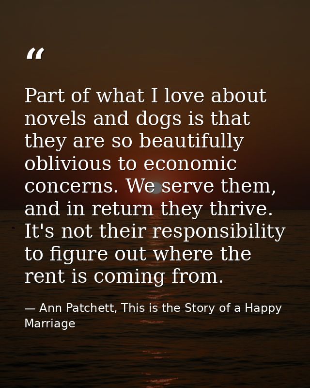 Part of what I love about novels and dogs is that they are so beautifully oblivious to economic concerns. We serve them, — Ann Patchett, This is the Story of a Happy Marriage