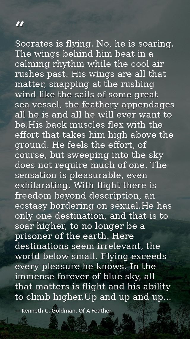 Socrates is flying. No, he is soaring. The wings behind him beat in a calming rhythm while the cool air rushes past. His — Kenneth C. Goldman, Of A Feather