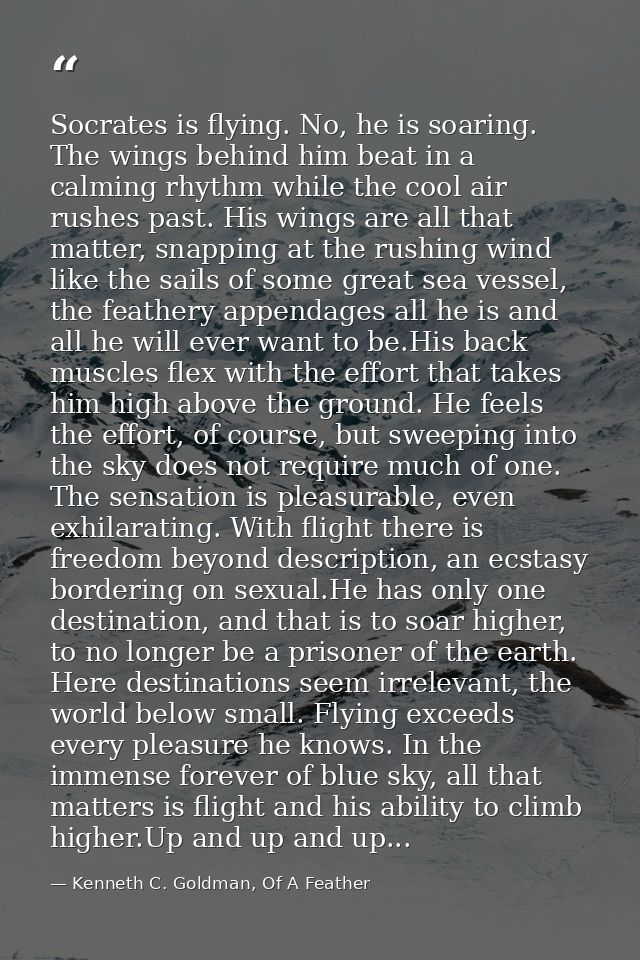 Socrates is flying. No, he is soaring. The wings behind him beat in a calming rhythm while the cool air rushes past. His — Kenneth C. Goldman, Of A Feather