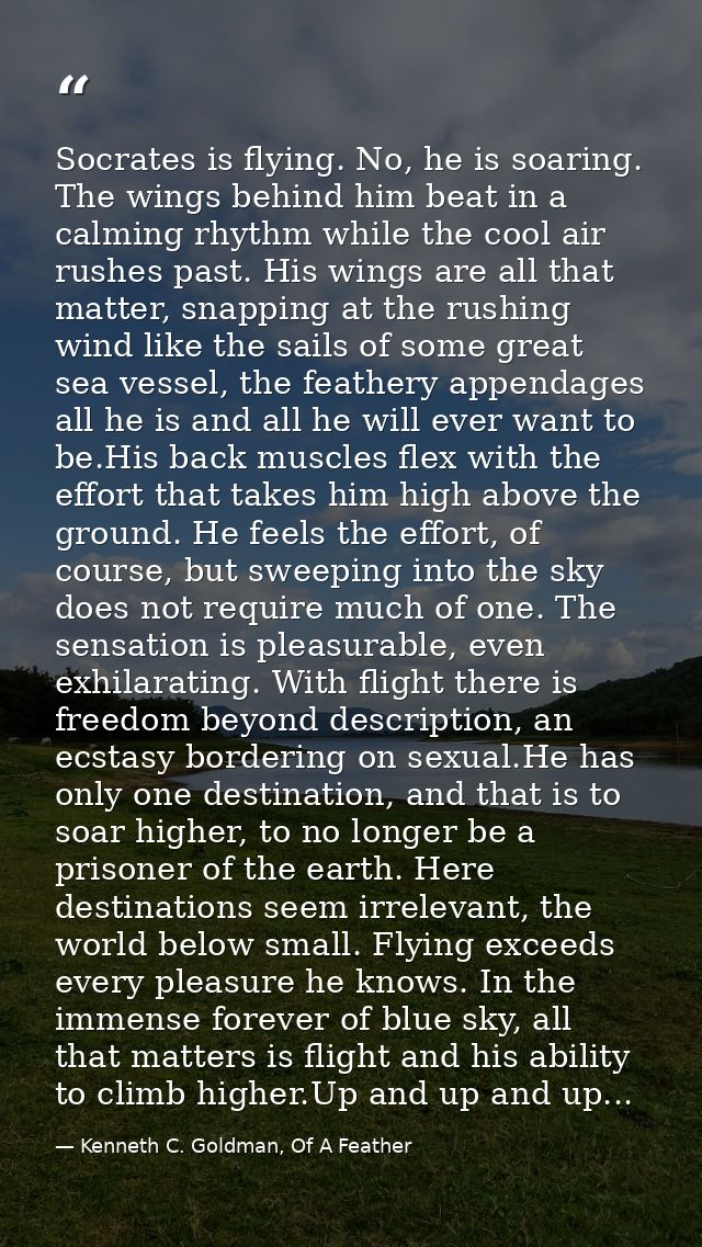 Socrates is flying. No, he is soaring. The wings behind him beat in a calming rhythm while the cool air rushes past. His — Kenneth C. Goldman, Of A Feather