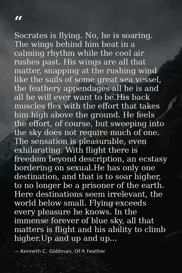Socrates is flying. No, he is soaring. The wings behind him beat in a calming rhythm while the cool air rushes past. His — Kenneth C. Goldman, Of A Feather