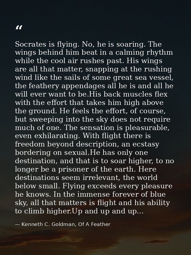 Socrates is flying. No, he is soaring. The wings behind him beat in a calming rhythm while the cool air rushes past. His — Kenneth C. Goldman, Of A Feather