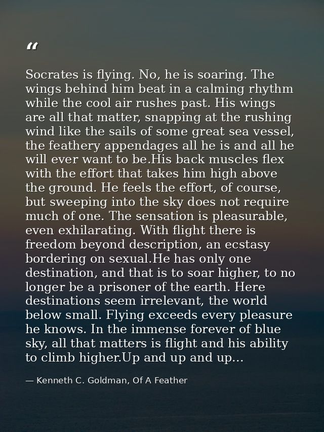 Socrates is flying. No, he is soaring. The wings behind him beat in a calming rhythm while the cool air rushes past. His — Kenneth C. Goldman, Of A Feather