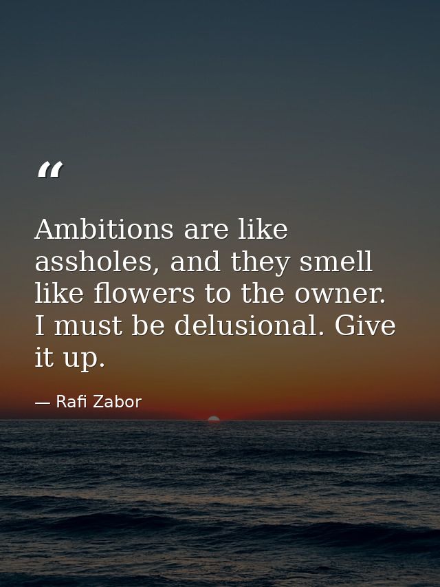 Ambitions are like assholes, and they smell like flowers to the owner. I must be delusional. Give it up. — Rafi Zabor